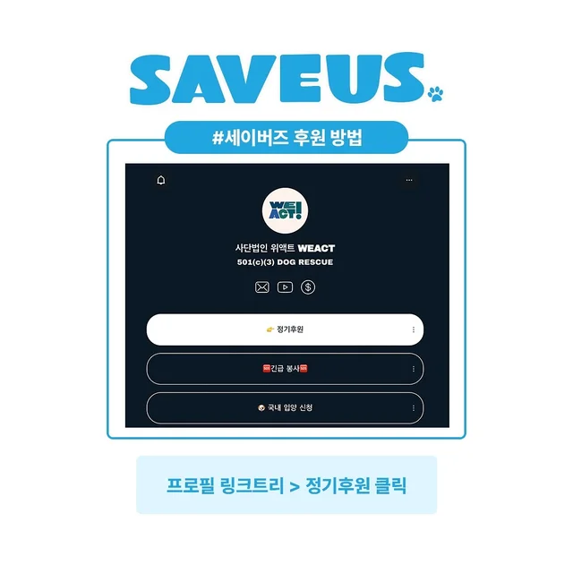 세이버즈 프로젝트_완주군 보호소 241205 현장 사진