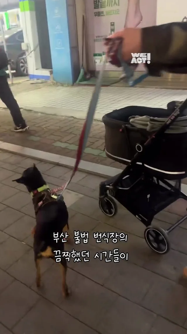 녹스네로부터 온 소식 현장 사진