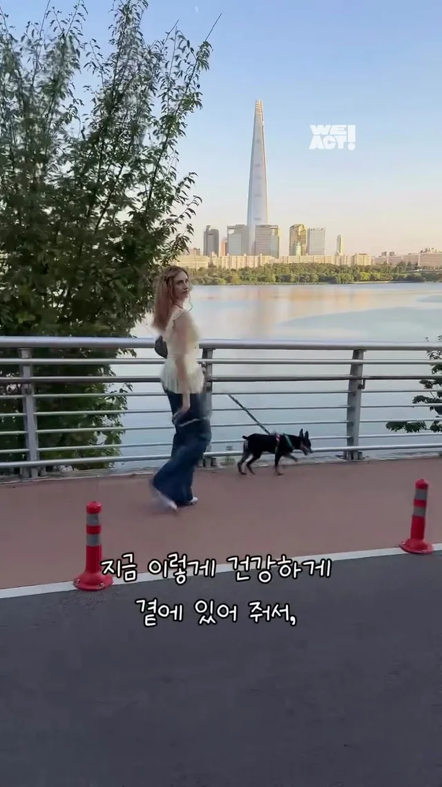 녹스네로부터 온 소식 현장 사진