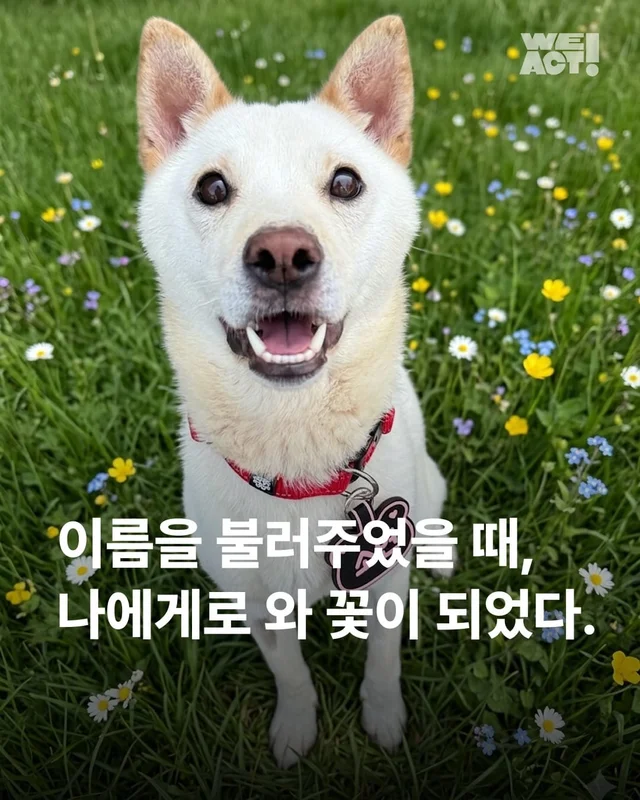 이름을 불러주었을 때 나에게로와 꽃이 되었다 현장 사진