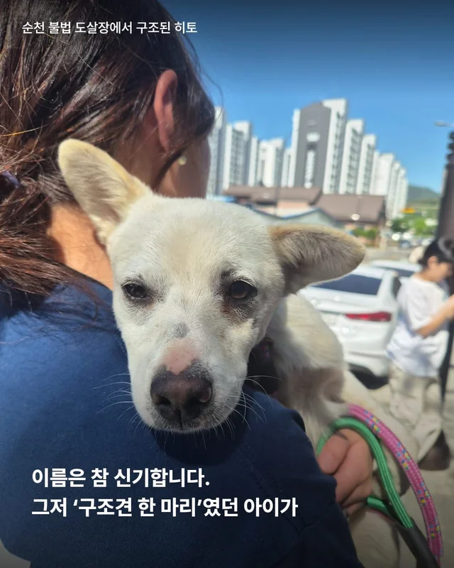 이름을 불러주었을 때 나에게로와 꽃이 되었다 현장 사진