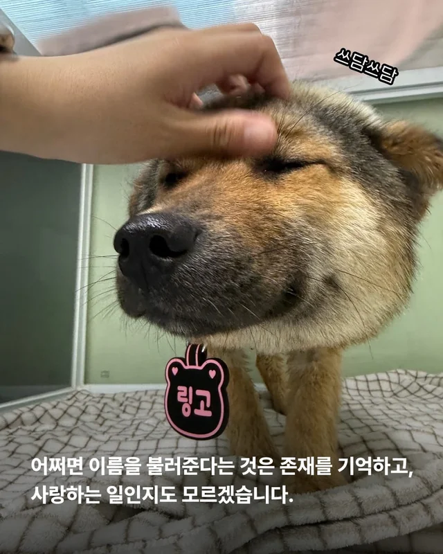 이름을 불러주었을 때 나에게로와 꽃이 되었다 현장 사진