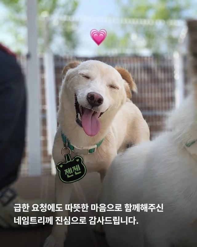 이름을 불러주었을 때 나에게로와 꽃이 되었다 현장 사진