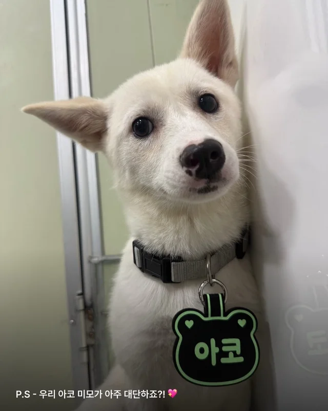 이름을 불러주었을 때 나에게로와 꽃이 되었다 현장 사진