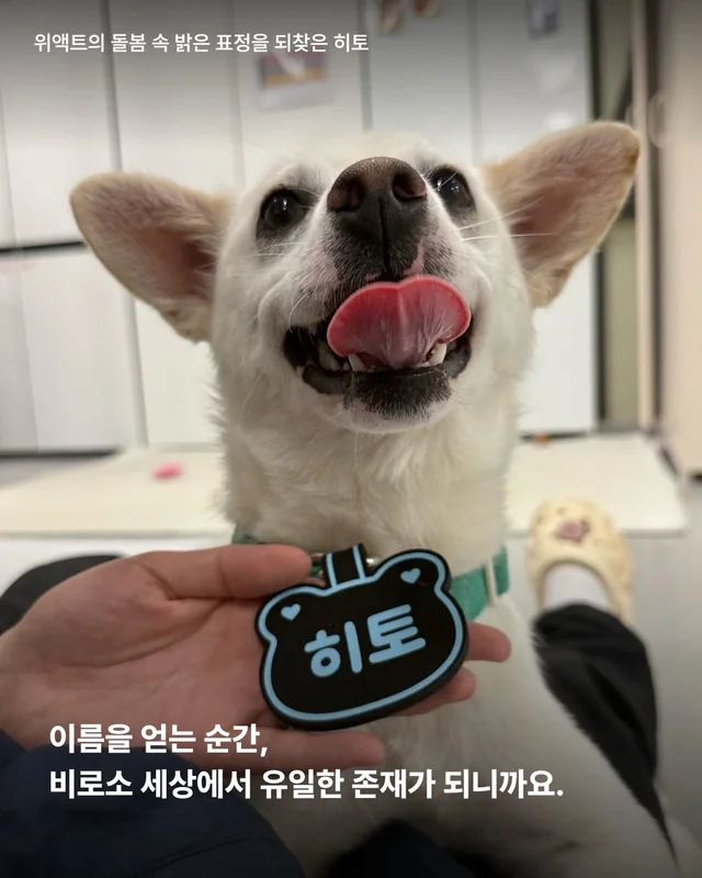 이름을 불러주었을 때 나에게로와 꽃이 되었다 현장 사진