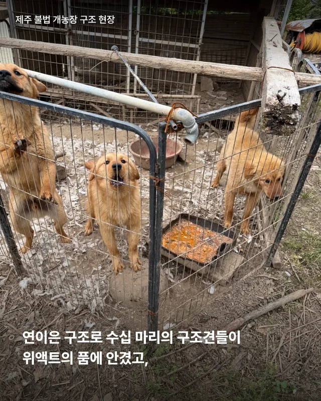 이름을 불러주었을 때 나에게로와 꽃이 되었다 현장 사진