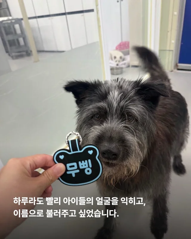 이름을 불러주었을 때 나에게로와 꽃이 되었다 현장 사진