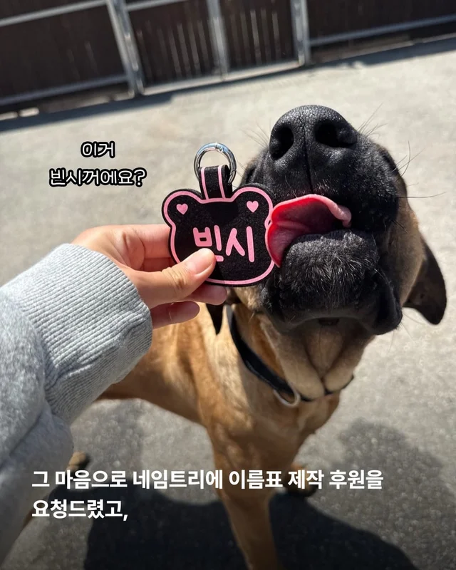 이름을 불러주었을 때 나에게로와 꽃이 되었다 현장 사진
