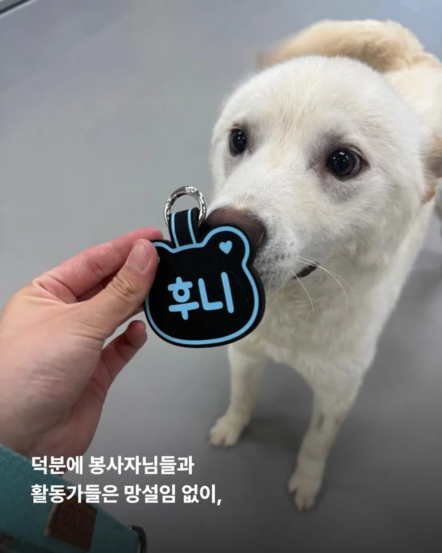 이름을 불러주었을 때 나에게로와 꽃이 되었다 현장 사진