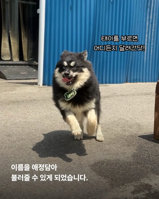 이름을 불러주었을 때 나에게로와 꽃이 되었다 현장 사진