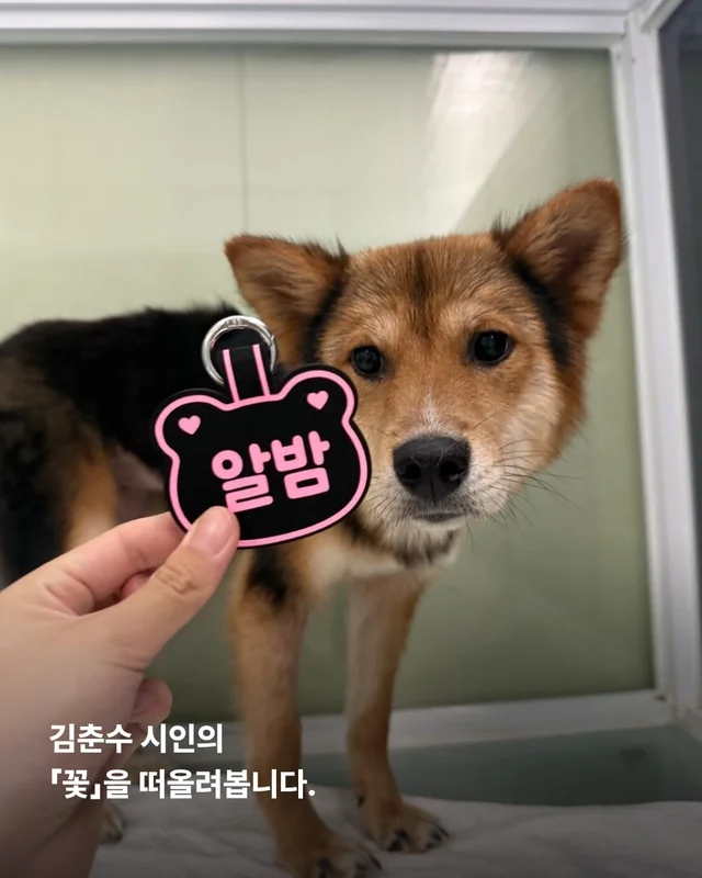 이름을 불러주었을 때 나에게로와 꽃이 되었다 현장 사진
