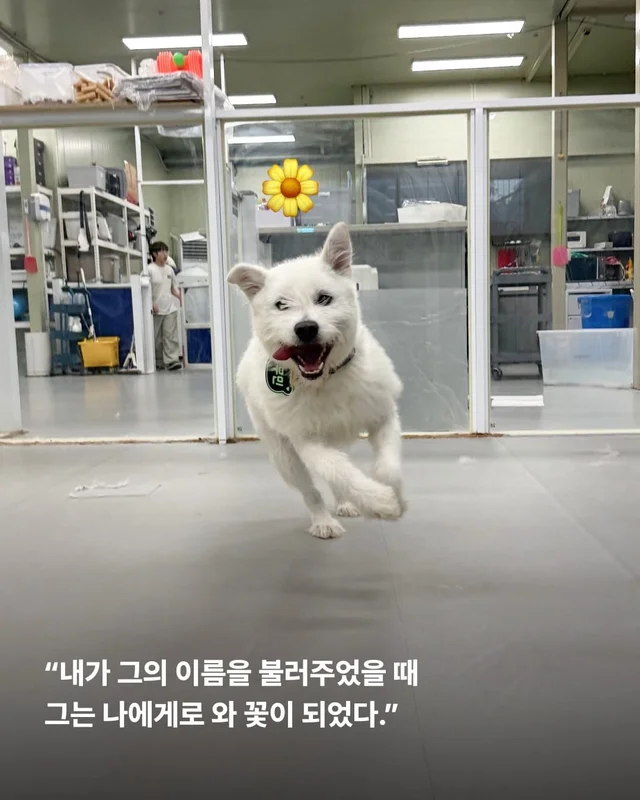 이름을 불러주었을 때 나에게로와 꽃이 되었다 현장 사진