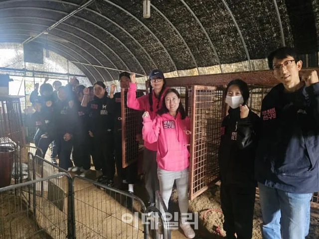 "안락사 만은..." 손 내민 홍성 동물보호소...국내 최.. 보도 사진