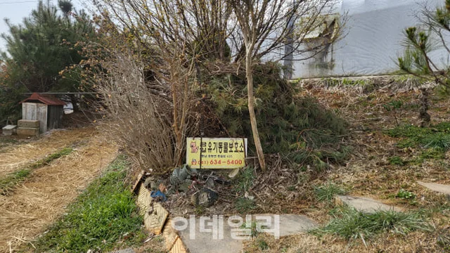 "안락사 만은..." 손 내민 홍성 동물보호소...국내 최.. 보도 사진
