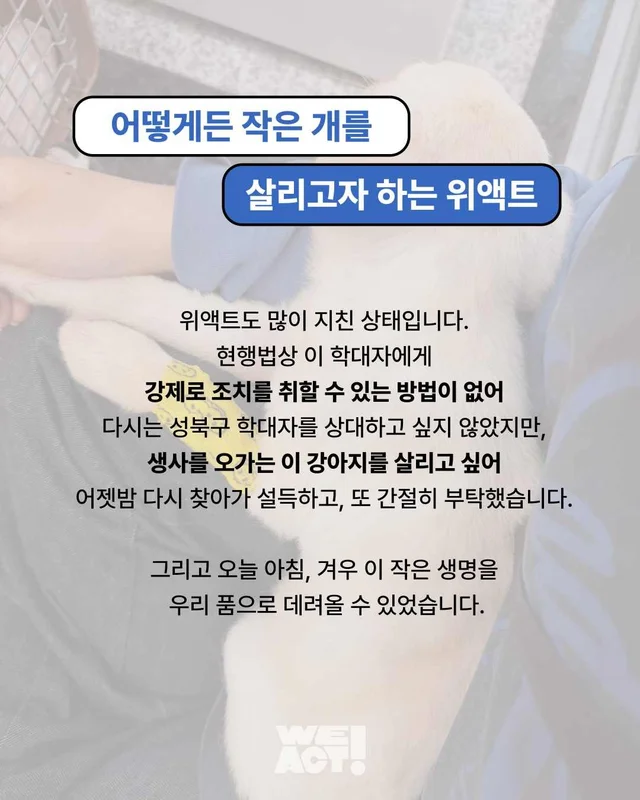 성북구 애니멀호더 현장 사진