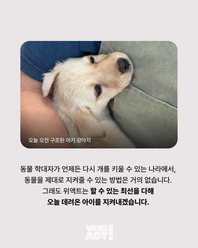 성북구 애니멀호더 현장 사진