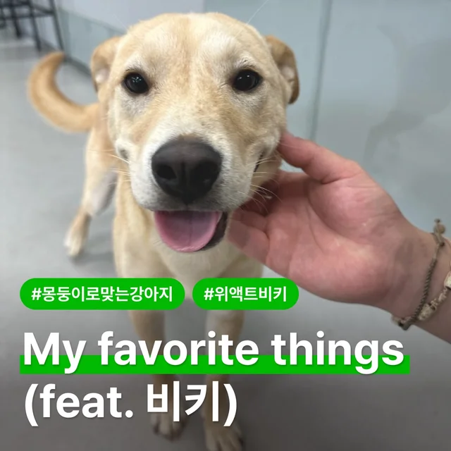 My Favorite Things (feat.비키) 현장 사진