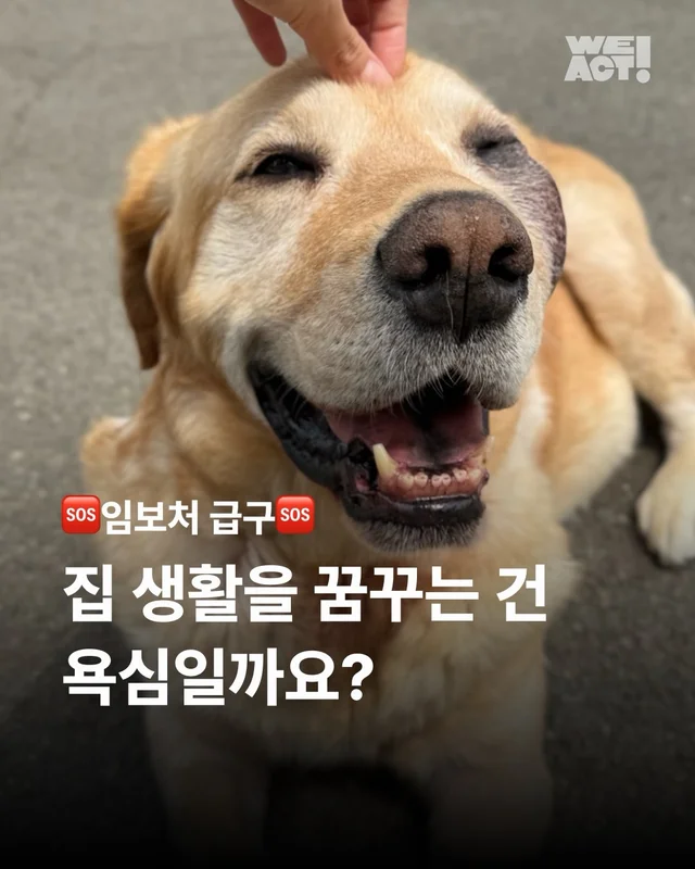 저도 집에서 살아보고싶어요 현장 사진