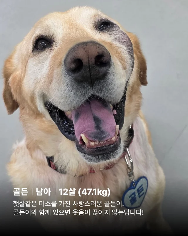 저도 집에서 살아보고싶어요 현장 사진