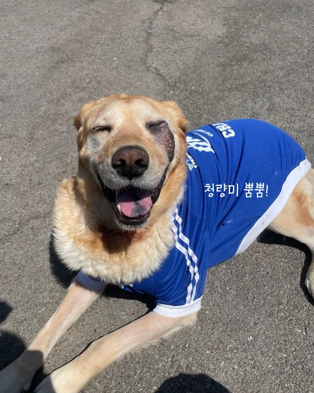 저도 집에서 살아보고싶어요 현장 사진