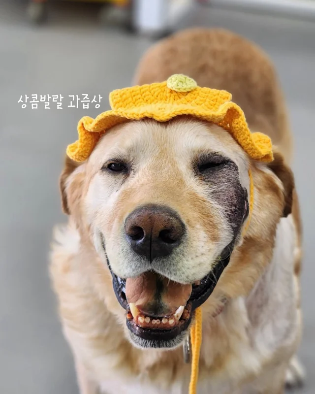 저도 집에서 살아보고싶어요 현장 사진