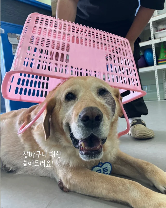 저도 집에서 살아보고싶어요 현장 사진