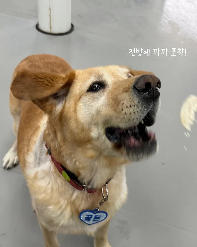 저도 집에서 살아보고싶어요 현장 사진