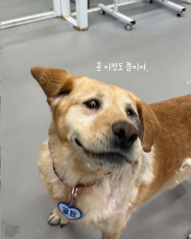 저도 집에서 살아보고싶어요 현장 사진