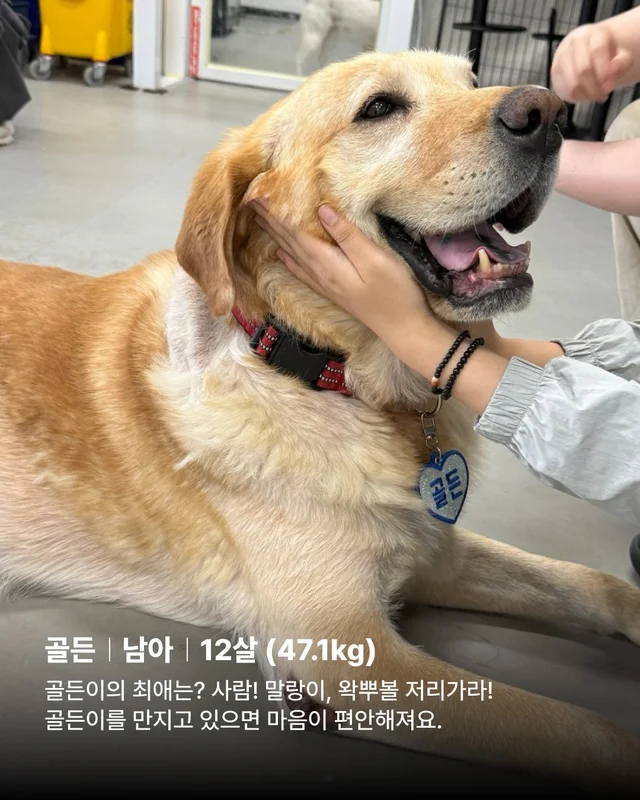저도 집에서 살아보고싶어요 현장 사진