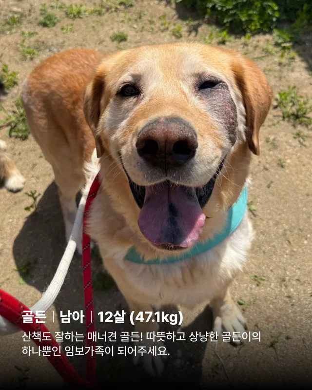 저도 집에서 살아보고싶어요 현장 사진