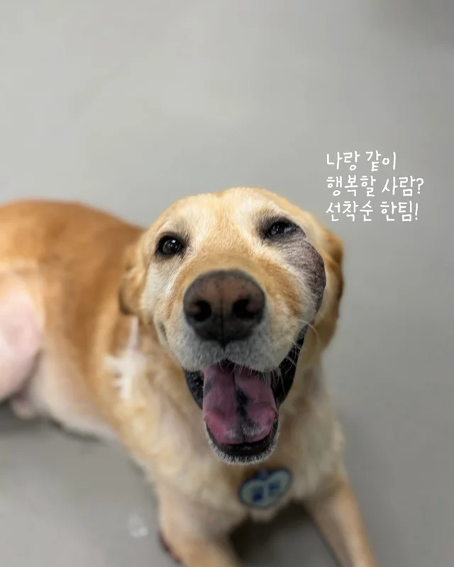 저도 집에서 살아보고싶어요 현장 사진