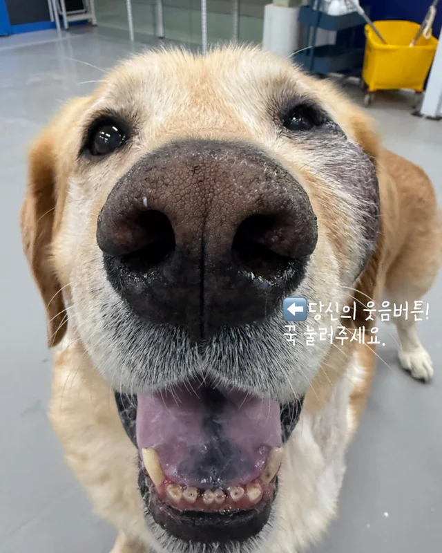 저도 집에서 살아보고싶어요 현장 사진