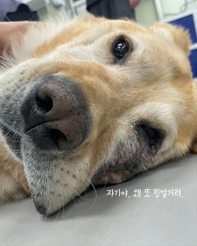 저도 집에서 살아보고싶어요 현장 사진