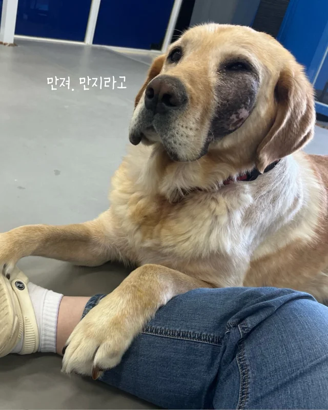 저도 집에서 살아보고싶어요 현장 사진