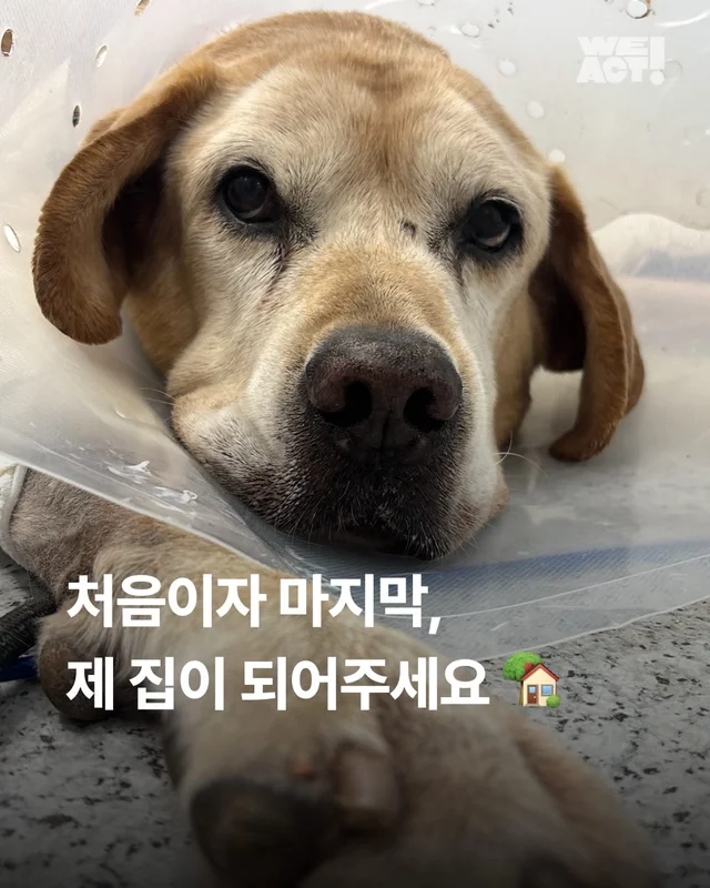 처음이자 마지막, 제 집이 되어주세요 현장 사진