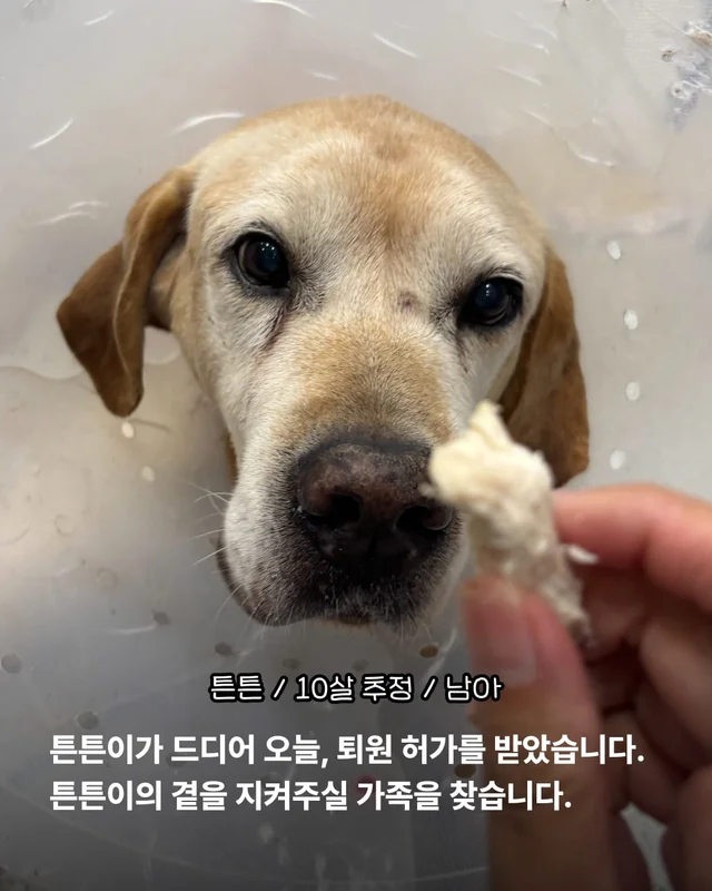 처음이자 마지막, 제 집이 되어주세요 현장 사진