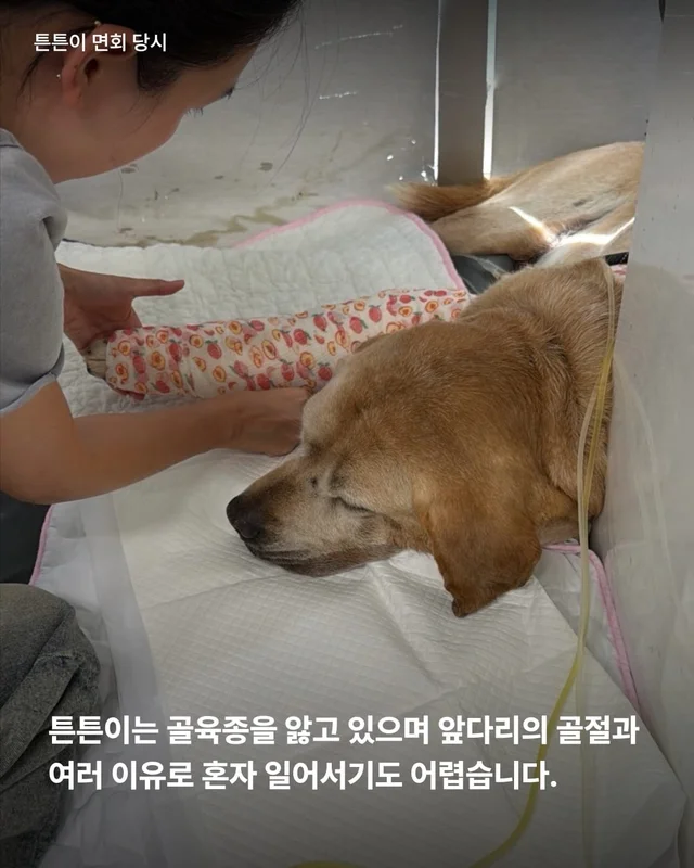 처음이자 마지막, 제 집이 되어주세요 현장 사진