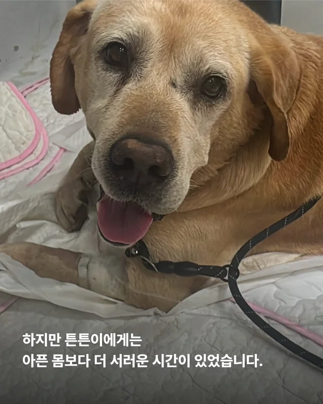 처음이자 마지막, 제 집이 되어주세요 현장 사진