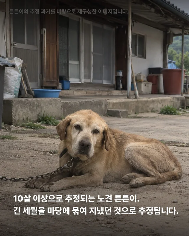 처음이자 마지막, 제 집이 되어주세요 현장 사진