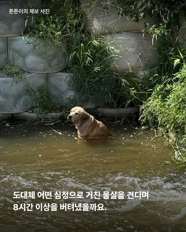처음이자 마지막, 제 집이 되어주세요 현장 사진