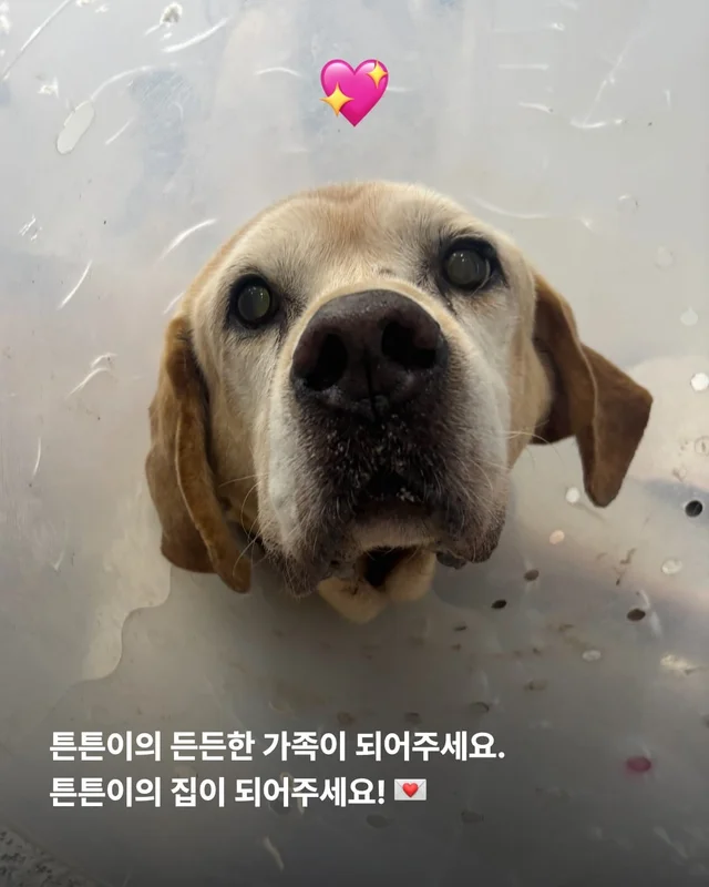 처음이자 마지막, 제 집이 되어주세요 현장 사진