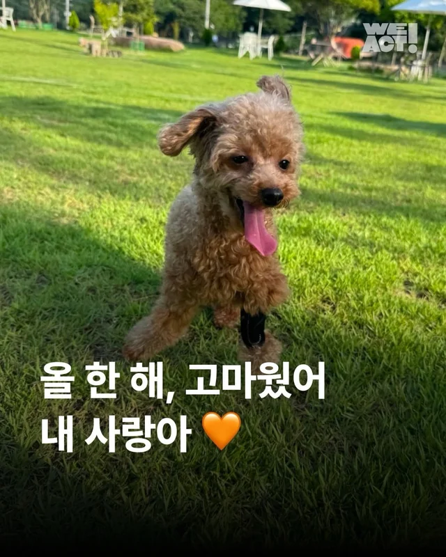 올 한 해 고마웠어, 내 사랑아 현장 사진