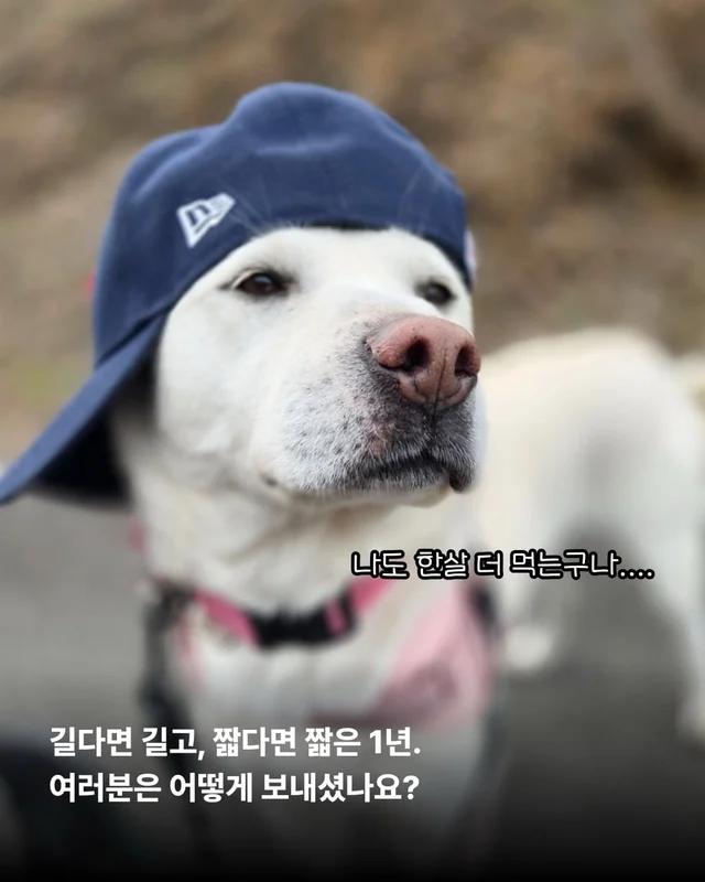올 한 해 고마웠어, 내 사랑아 현장 사진
