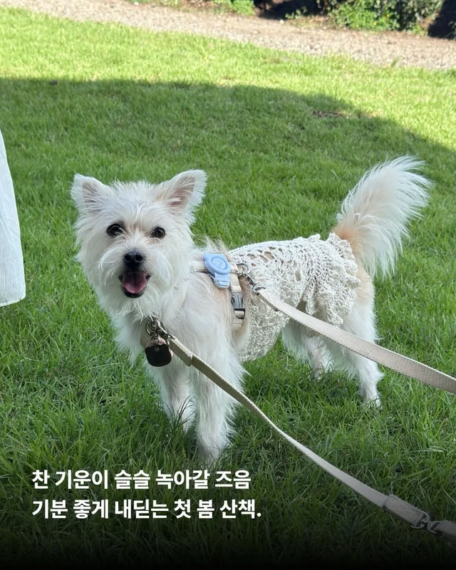 올 한 해 고마웠어, 내 사랑아 현장 사진