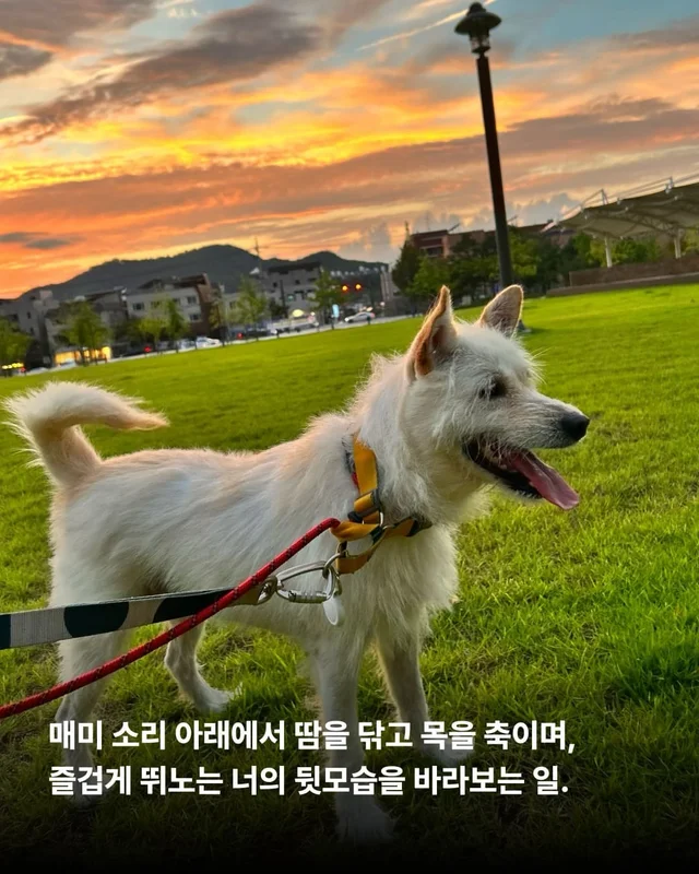올 한 해 고마웠어, 내 사랑아 현장 사진