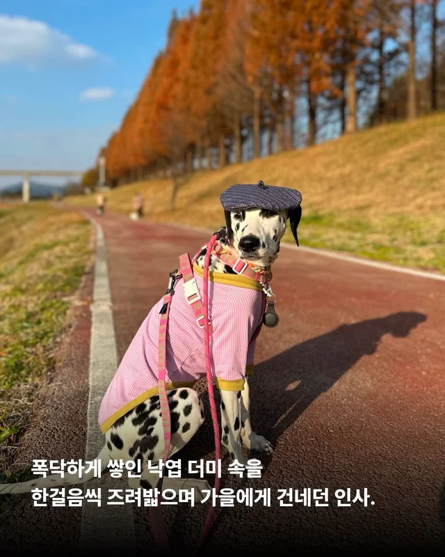 올 한 해 고마웠어, 내 사랑아 현장 사진