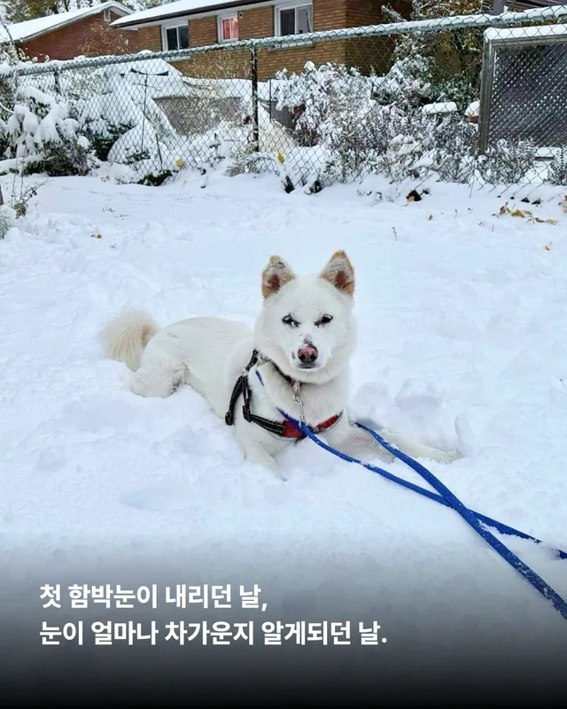 올 한 해 고마웠어, 내 사랑아 현장 사진