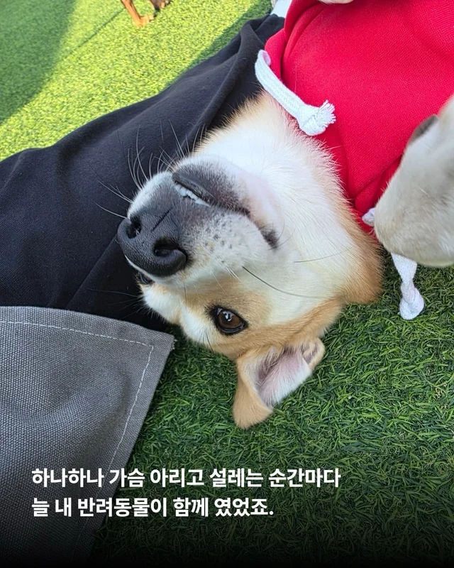올 한 해 고마웠어, 내 사랑아 현장 사진