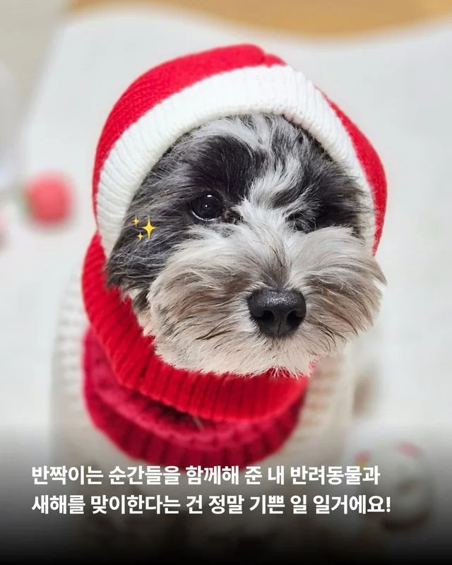 올 한 해 고마웠어, 내 사랑아 현장 사진