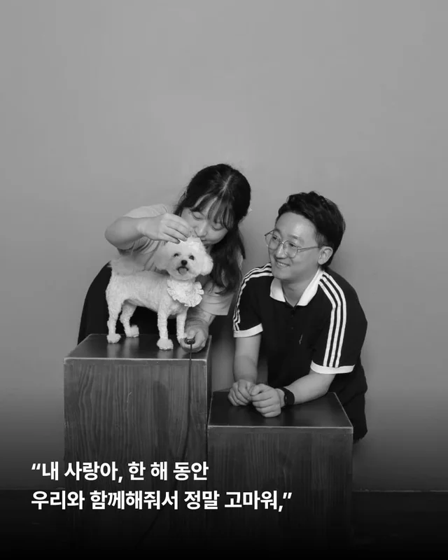 올 한 해 고마웠어, 내 사랑아 현장 사진